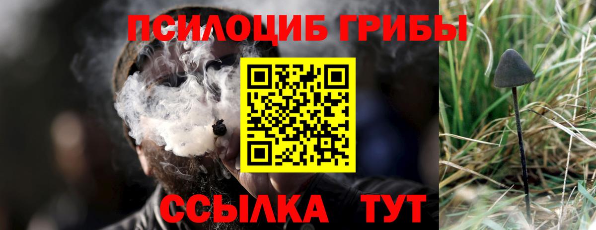 Галлюциногенные грибы мухоморы  Вход с VPN  Владикавказ  Псилоцибиновые грибы Psilocybe 