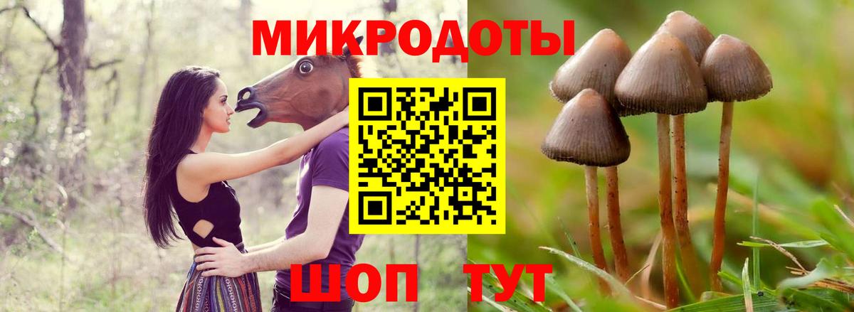 Псилоцибиновые грибы MAGIC MUSHROOMS Владикавказ